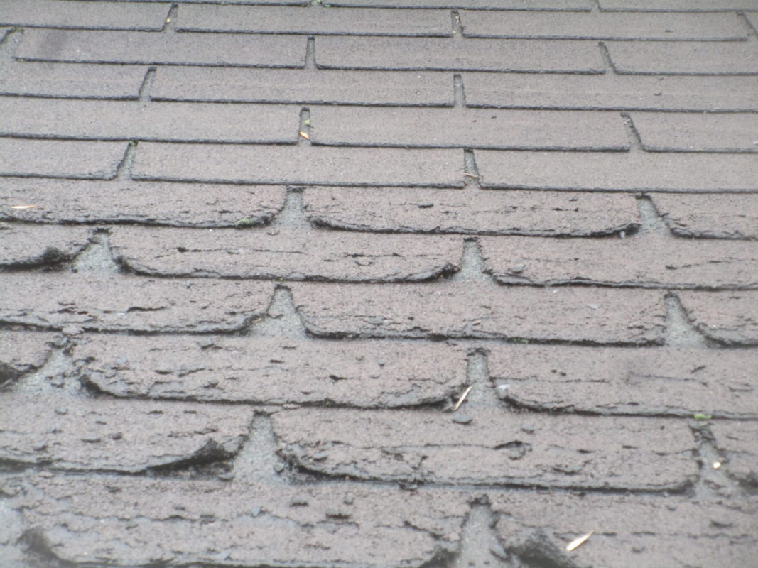 Lower shingles are damaged from Ice Damming