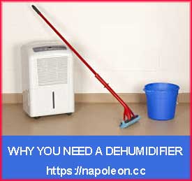 Why-You-Need-a-Dehumidifier